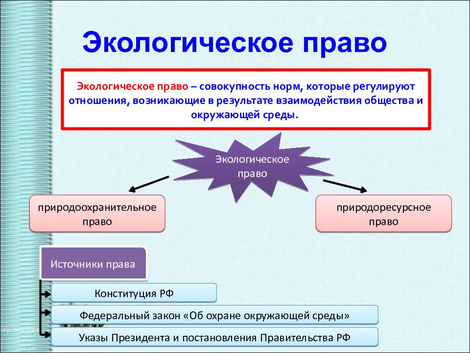 Урок обществознания 10 класс семейное право презентация