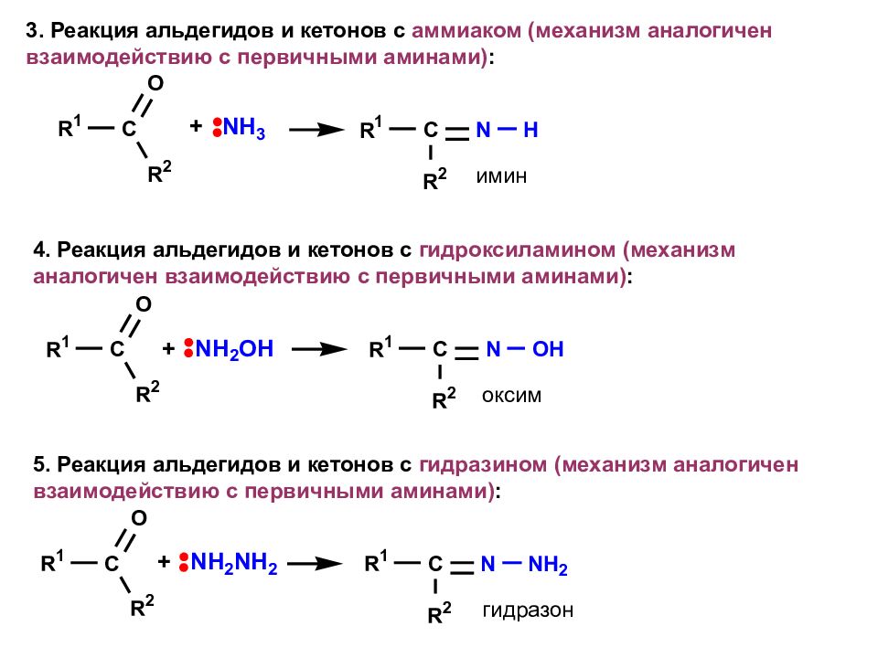 Альдегидная группа соединения. Реакции Аминов с карбонильными соединениями. Взаимодействие альдегидов с гидроксиламином. Карбонильные соединения с аммиаком. Кетоны с гидроксиламином механизм.