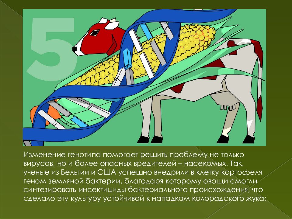 Математика в сельском хозяйстве презентация