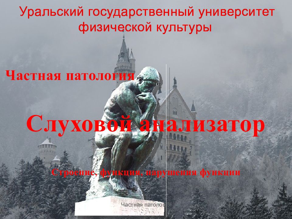 Частная патология Слуховой анализатор Строение, функция, нарушения