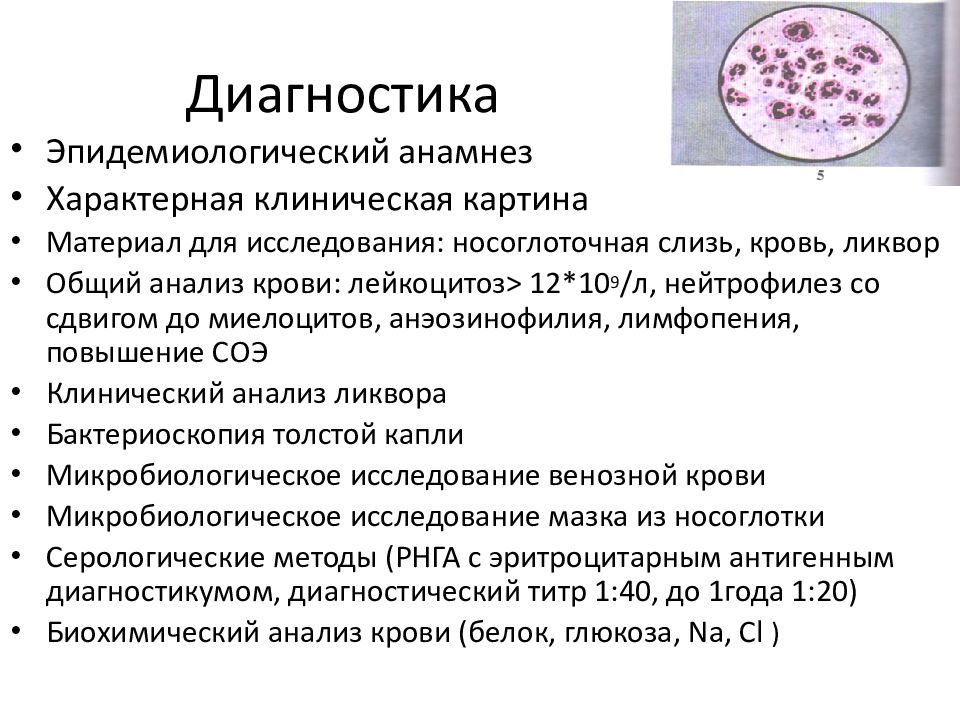 Менингеальный синдром презентация