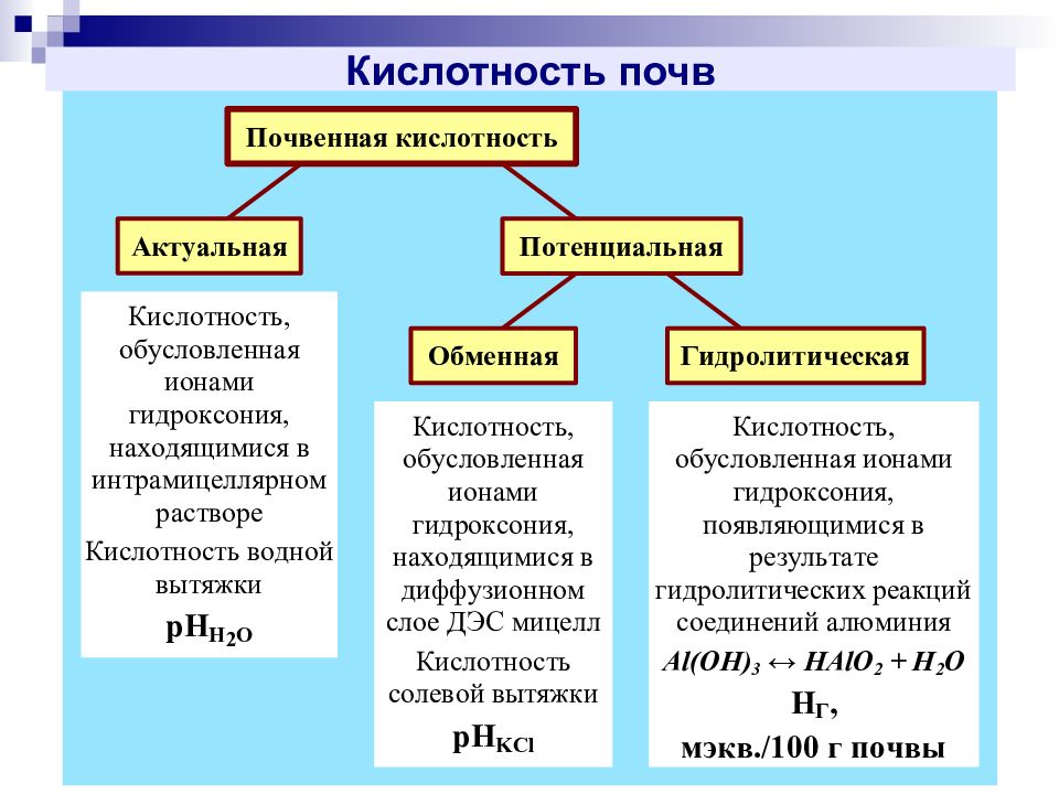 Кислотность почвы презентация