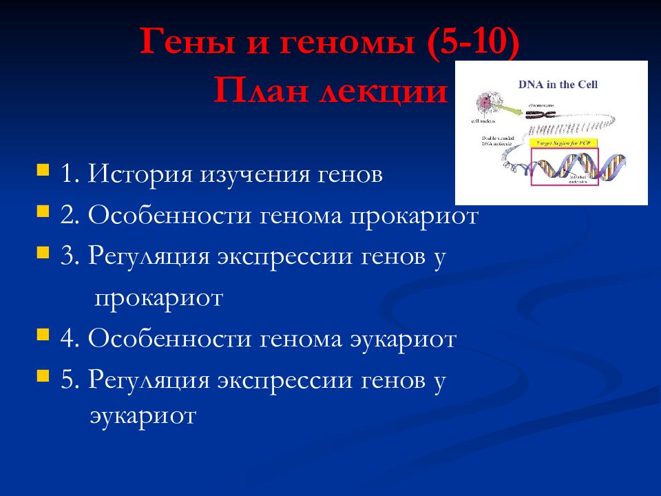 Слайд саммари в презентации