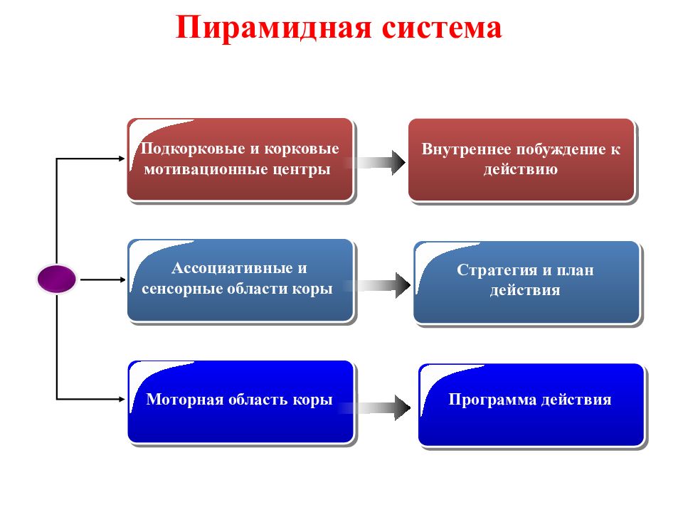 Ея система. Мотивационный центр. Центр мотивации. Мотивациогенные центры. Стратегия пирамидная история.