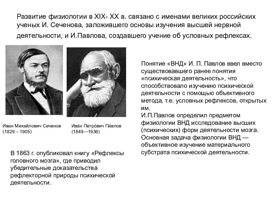 Презентация учение о высшей нервной деятельности сеченова и павлова