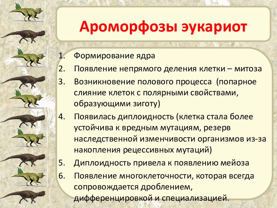 Схема правильно отражающая место птиц в эволюции позвоночных животных это рыбы пресмыкающиеся