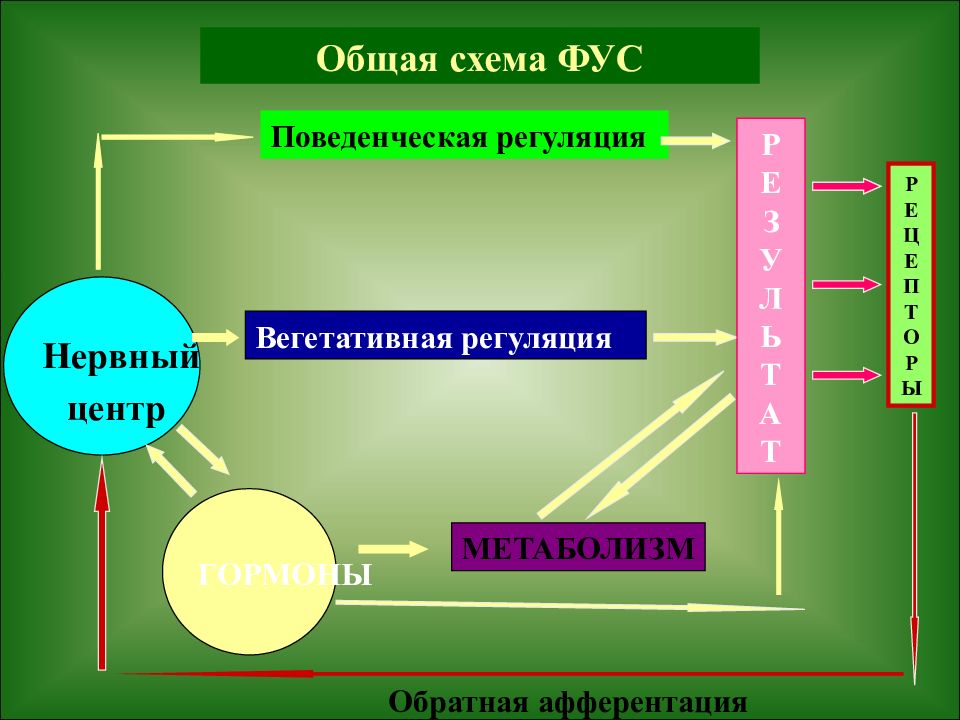 Схема фус восприятия боли