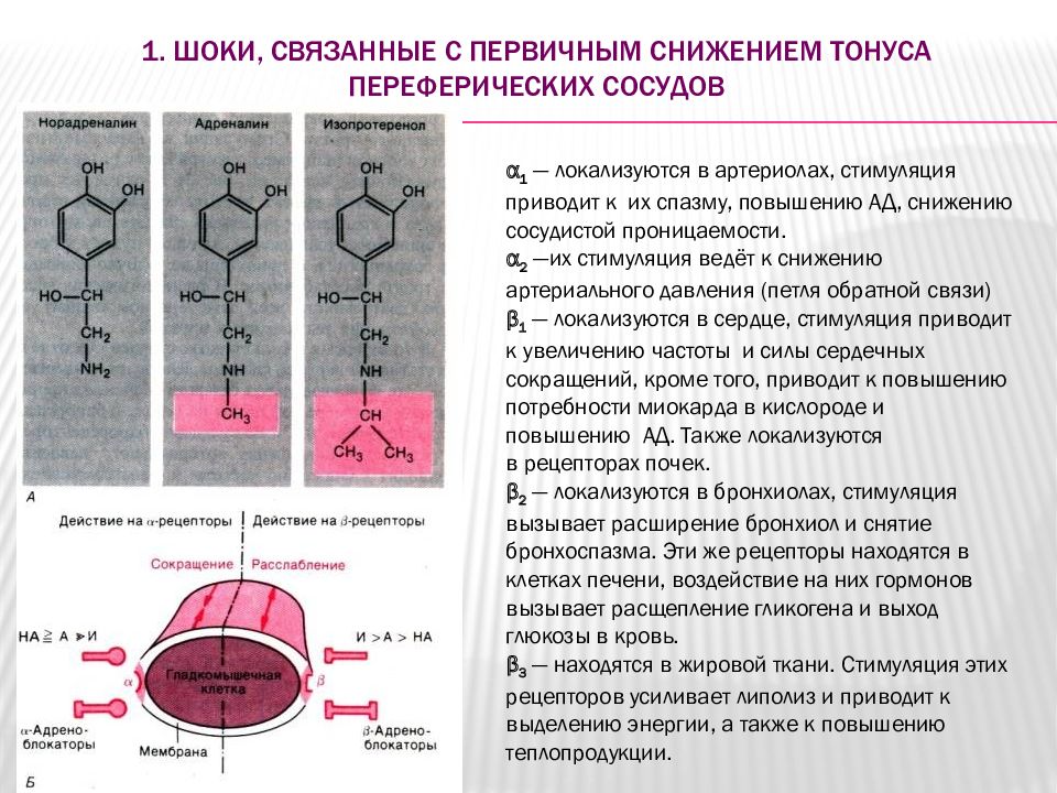 Шоковые состояния презентация