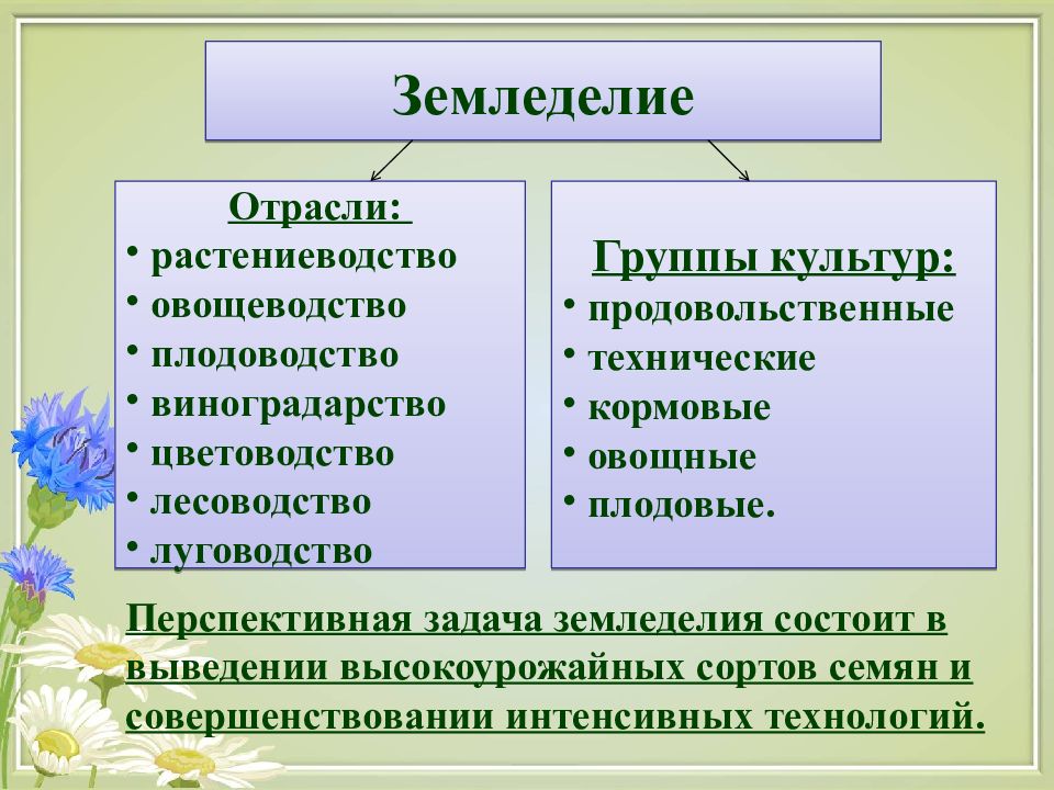 Основные направления в растениеводстве 5 класс презентация