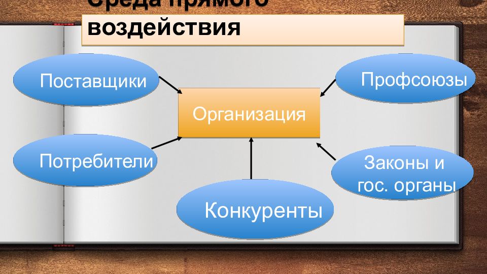 6 3 организация. Среда прямого влияния. Как еще называют среду прямого воздействия. Поставщики потребители законы и государственные органы. Проект как открытая система.