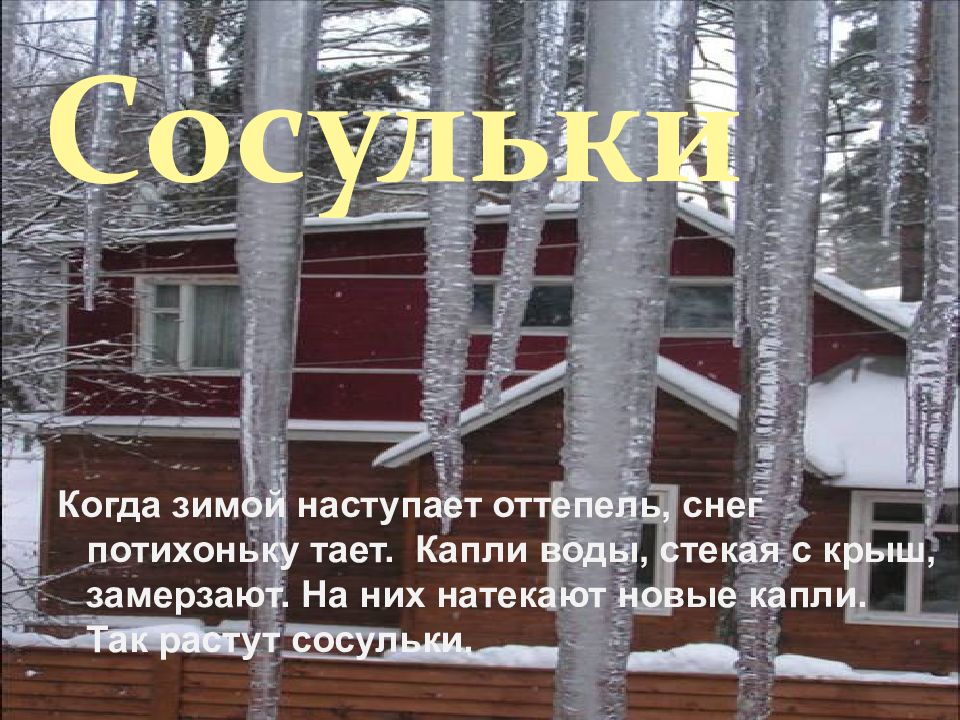 Медленно тающий. Сосульки высказывания. Афоризмы про сосульки. Когда зимой. Сосульки цитаты.