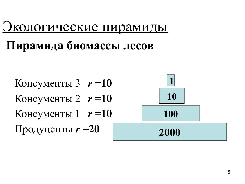 Экологическая пирамида