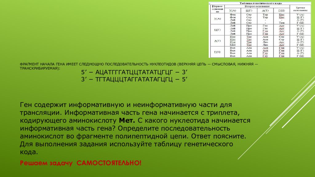 Участок цепи молекулы днк имеет последовательность