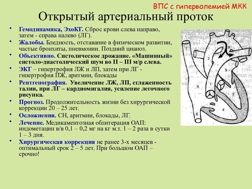 Открытый артериальный проток презентация