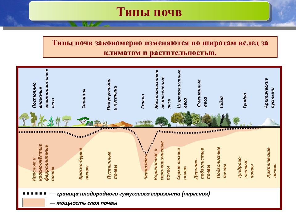 Разнообразие почв 4. Таблица изменения типов почв по широтам. Схема образование почв и их разнообразие.