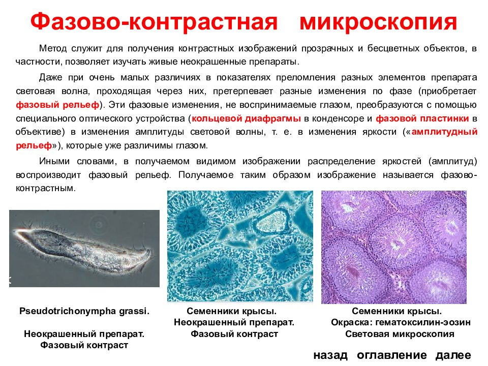 В методе темного поля микроскопии изображение объекта получается