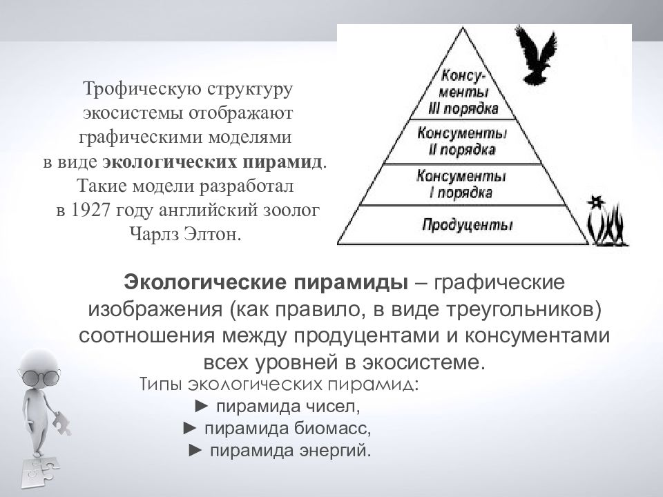 Трофические уровни первый и второй