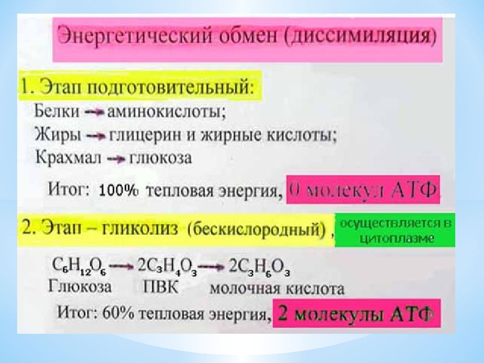 Презентация энергетический обмен в клетке 10 класс