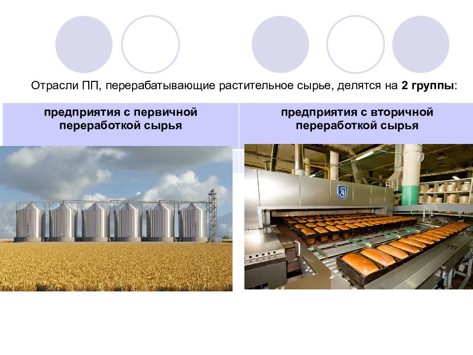 Сырьевая пищевая промышленность. Отрасли первичной переработки. Вторичные отрасли перерабатывающие сырьё. Сырье для пищевой промышленности. Классификация пищевой промышленности.
