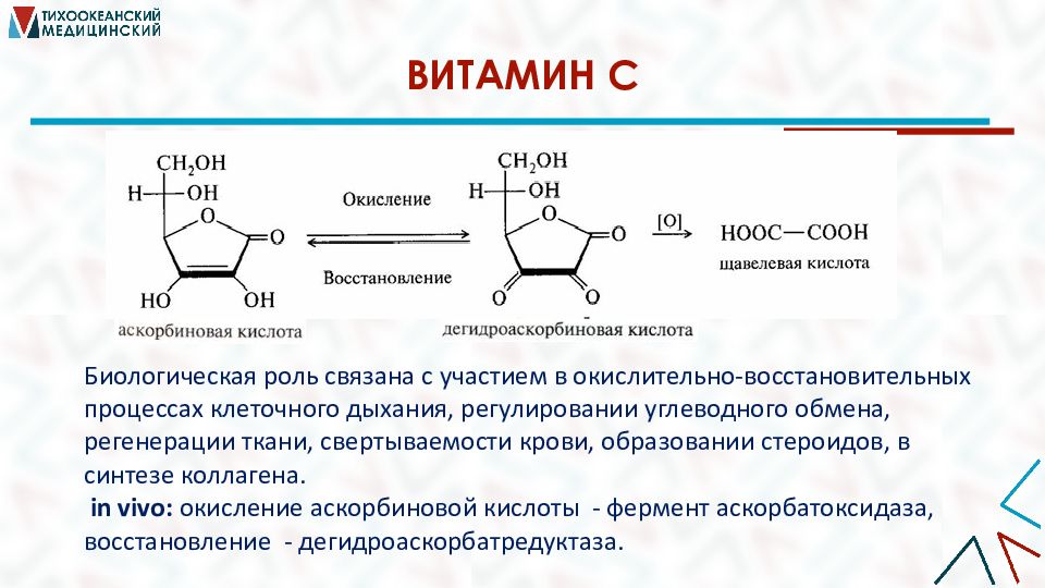 Углеводы кислота. Окисление аскорбиновой кислоты. Биологическая роль аскорбиновой кислоты. Синтез олиго и полисахаридов. Кинетика окисления аскорбиновой кислоты.