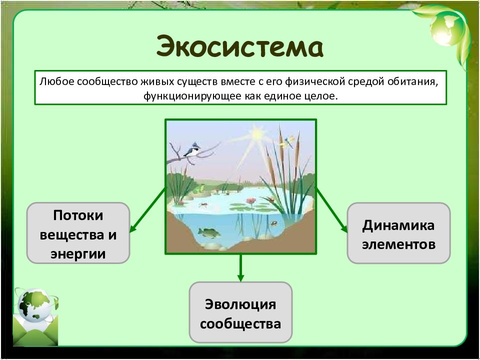 Экосистема пример рисунок