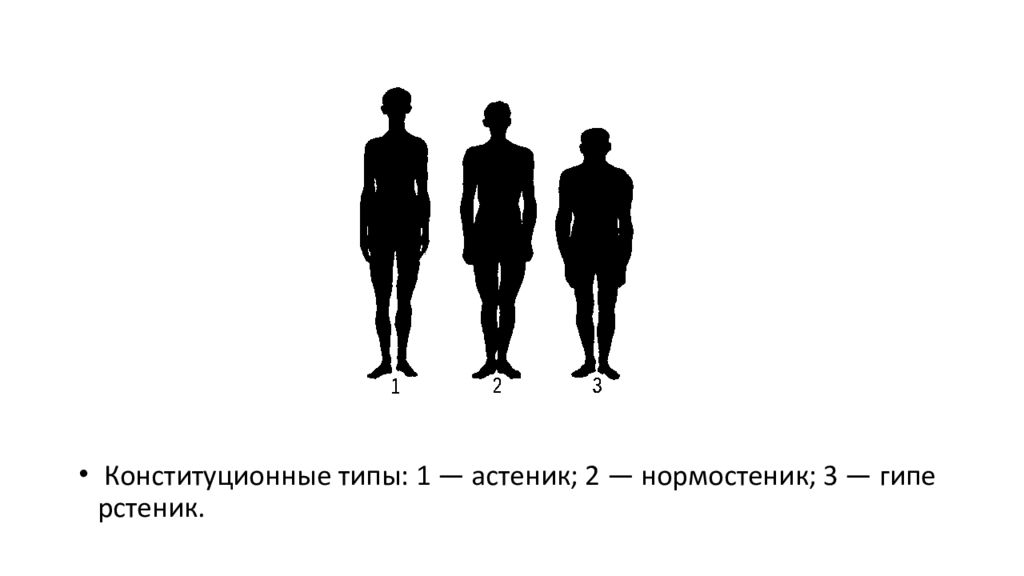 4 конституционный типа. Типы Конституции человека. Конституциональный Тип. Нормостеник. Нормостеник картинка.