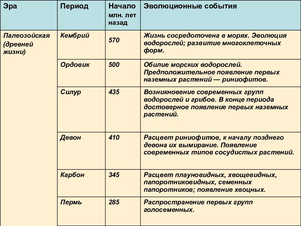 Краткая история развития органического мира презентация