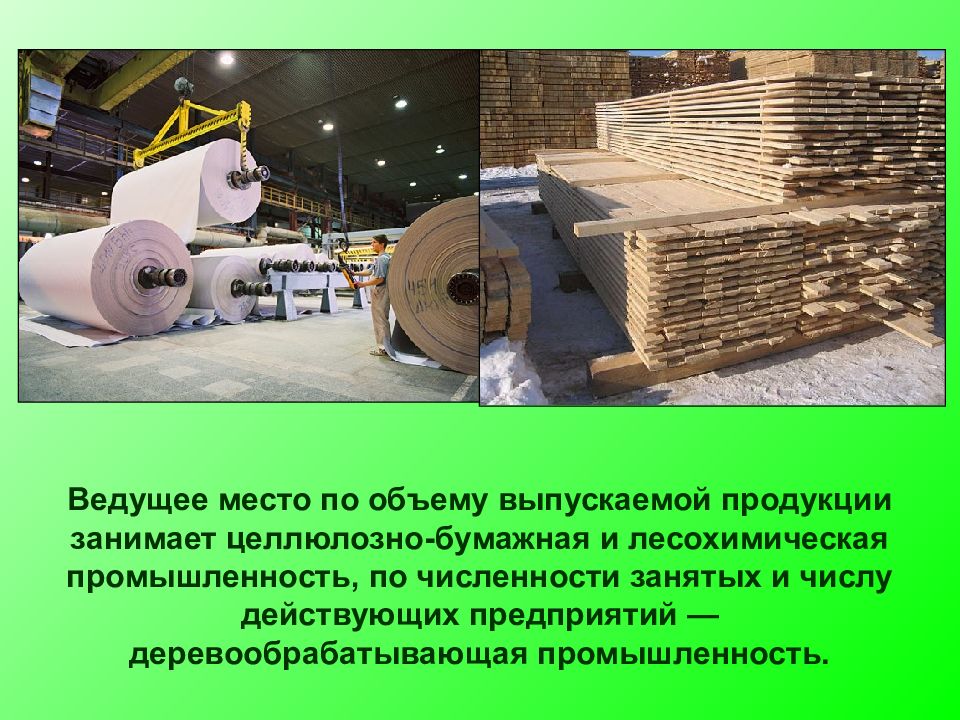 Продукция лесной промышленности. Целлюлозно бумажная отрасль Лесной промышленности. Лесная, деревообрабатывающая и целлюлозно-бумажная промышленность. Предприятия Лесной целоснобумажной промышленности Урала. Восточно-Сибирская Лесная и целлюлозно-бумажная промышленность.