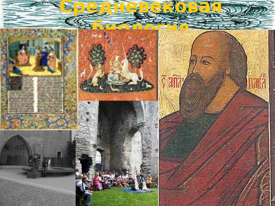 Средневековая биология