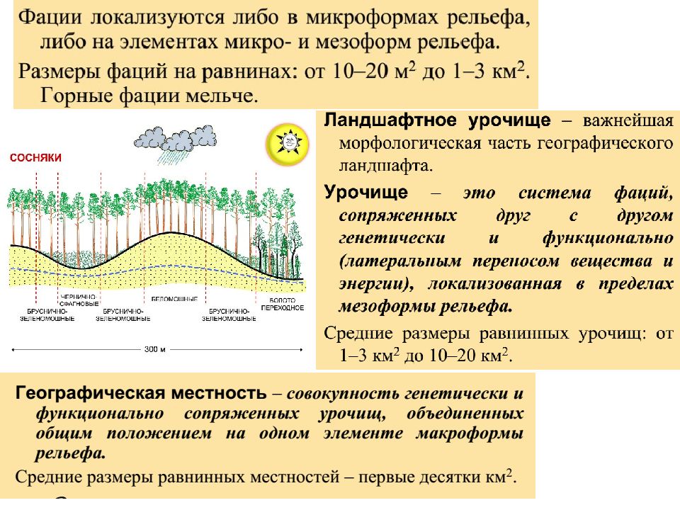 Типы местности. Морфологическая структура ландшафтов местность фация урочище. Морфологическое строение ландшафта. Пример фации ландшафта. Фация урочище местность ландшафт.