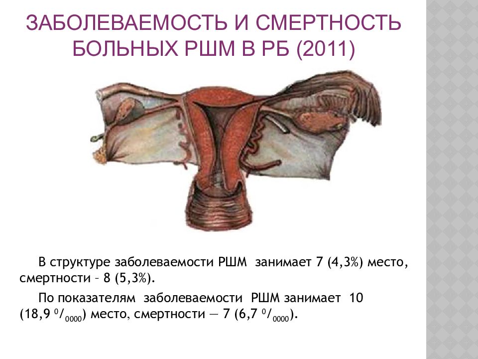 Строение Матки Женщины Фото С Описанием