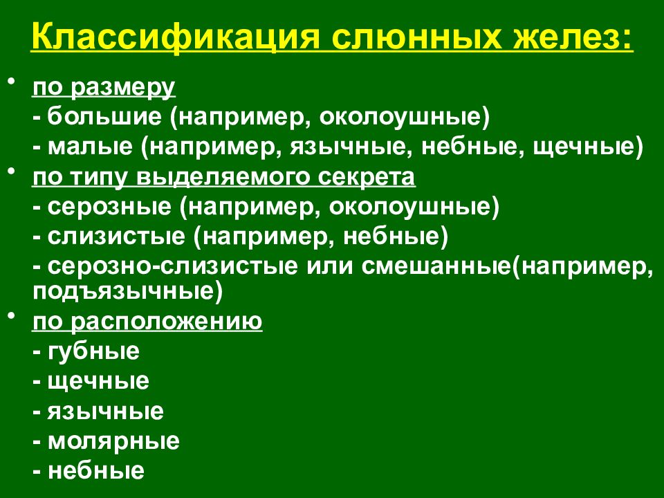 Большая классификация. Слюнные железы классификация.