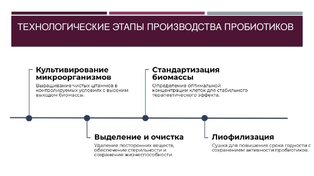 Технологические этапы производства пробиотиков