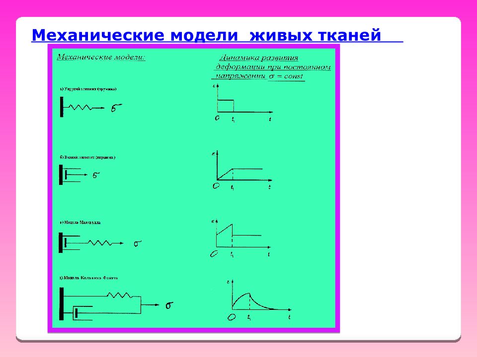 Механическая модель. Механические модели живых тканей. Механические модели живых тканей физика. Модели механики. Модель гемодинамики.