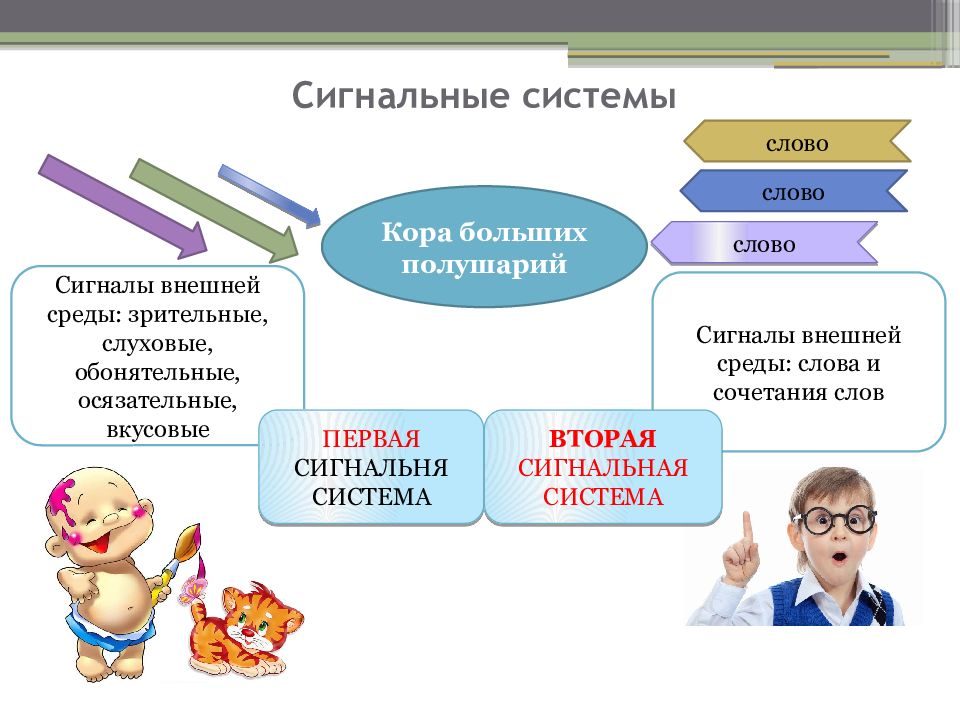 Вторая сигнальная система схема