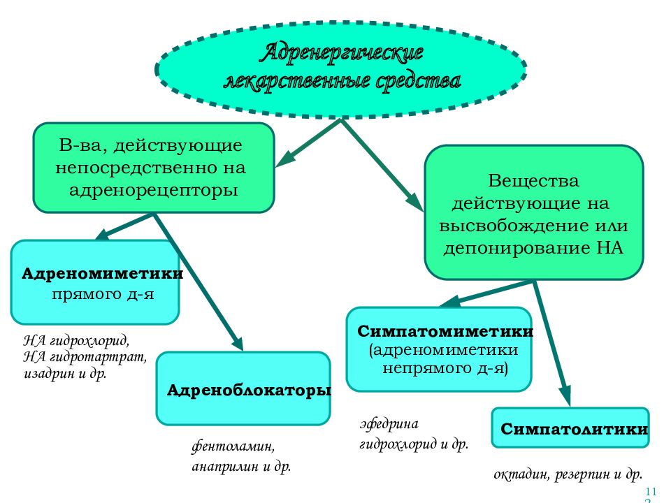 Лекарственное растительное сырье влияющее на эфферентную нервную систему презентация