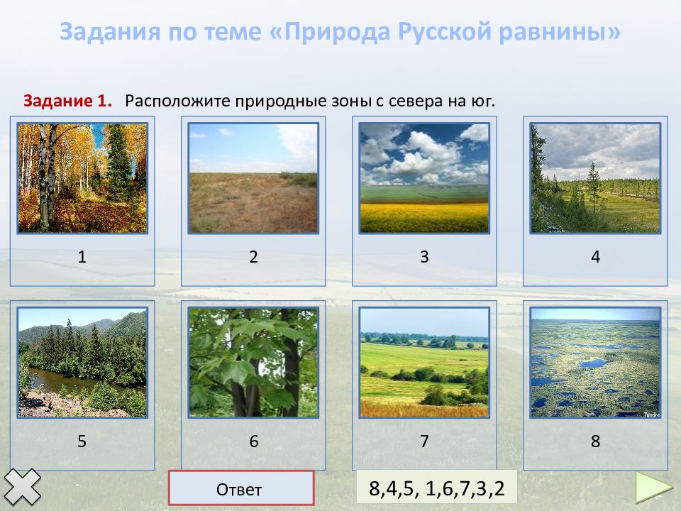 Природные зоны с севера на юг. Природные зоны Восточно европейской равнины. Природные зоны русские равнины. Природные зоны русской равнины 8 класс. Природные зоны Восточной Европы.