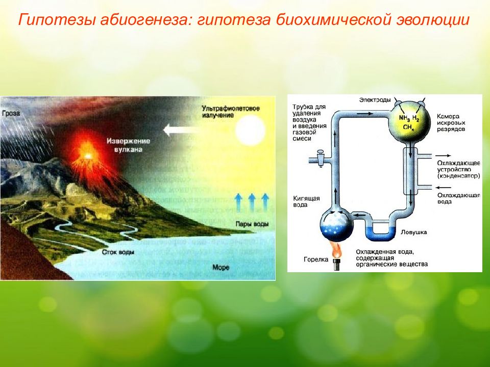 Биохимическая гипотеза рисунок