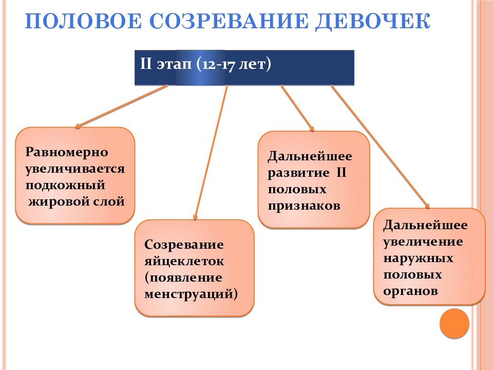 Половое созревание у девочек в картинках