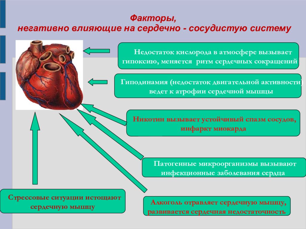 Презентация на тему сердечно сосудистые заболевания