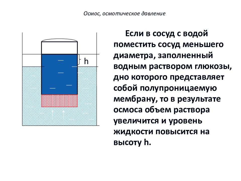 Водой помещают. Осмос и осмотическое давление. Осмос осмотическое давление растворов. Явление осмоса и осмотическое давление. Осмос и осмотическое давление химия.