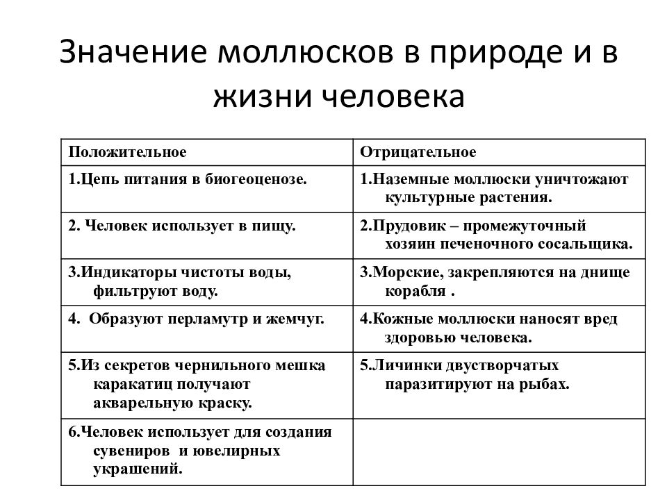 Разнообразие брюхоногих моллюсков их роль в природе проект 7 класс биология