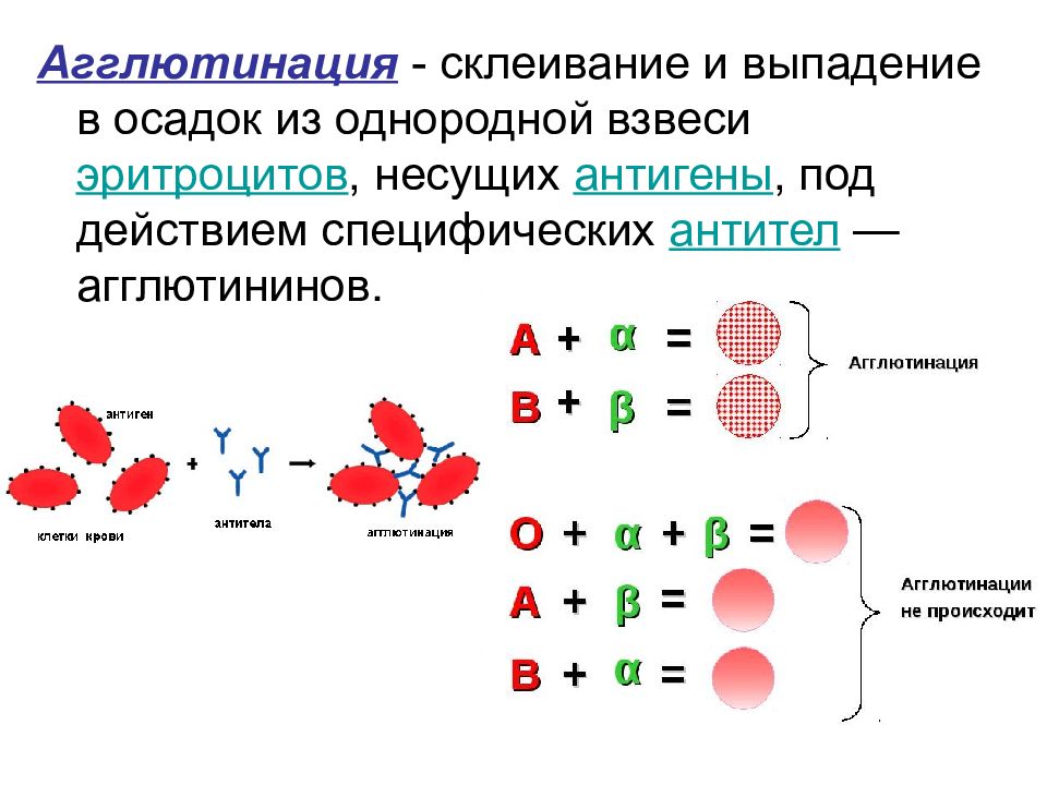 Группа крови агглютинация картинки