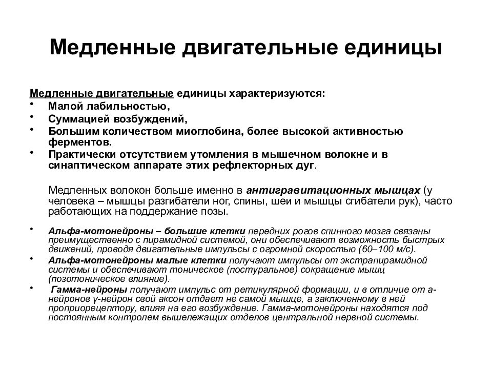 Медленные двигательные единицы красные волокна. Классификация двигательных единиц физиология. Медленные двигательные единицы. Характеристика двигательных единиц. Быстрые двигательные единицы.