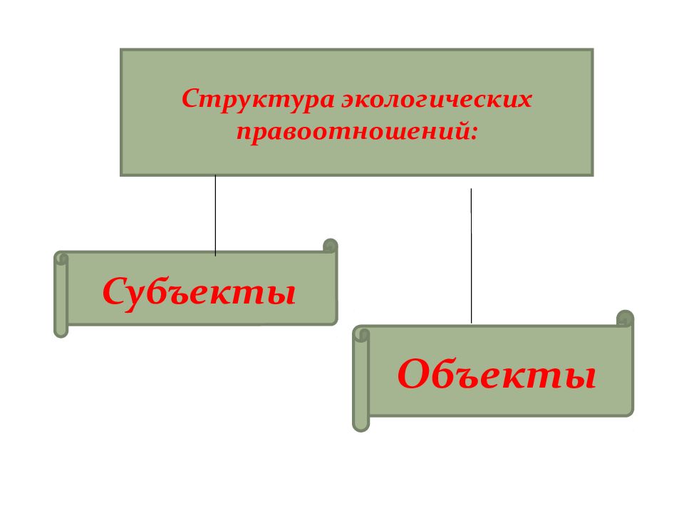 Общие экологические правоотношения. Субъекты и объекты экологических правоотношений. Структура экологических правоотношений. Субъекты экологических правоотношений. Экологическое право субъекты и объекты.