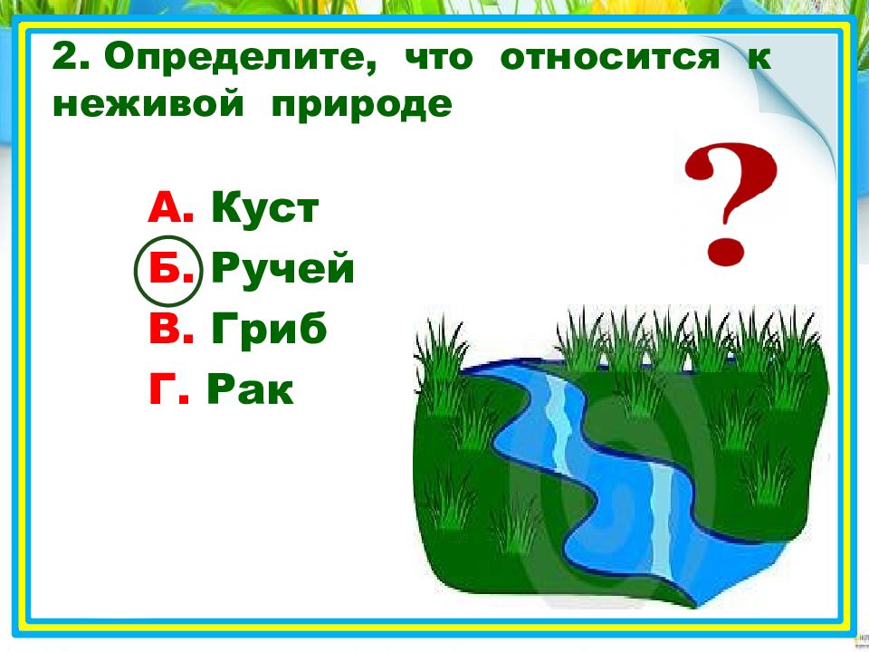 Живая и неживая природа тест 2 класс. Что относится к неживой природе. Что не относится к неживой природе. Вода относится к неживой природе. Что относят к неживой природе.