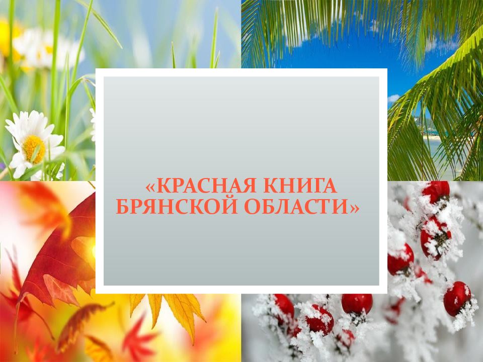 «Красная книга Брянской области»