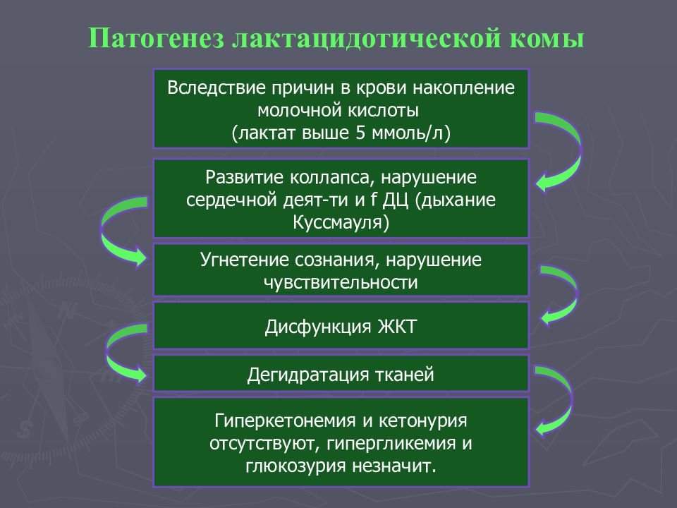 Кома при сахарном диабете 2 типа. Лактацидемическая кома патогенез. Гиперлактацидемическая кома патогенез. Патогенез лактацидемической комы. Патогенез гиперлактацидемической комы.