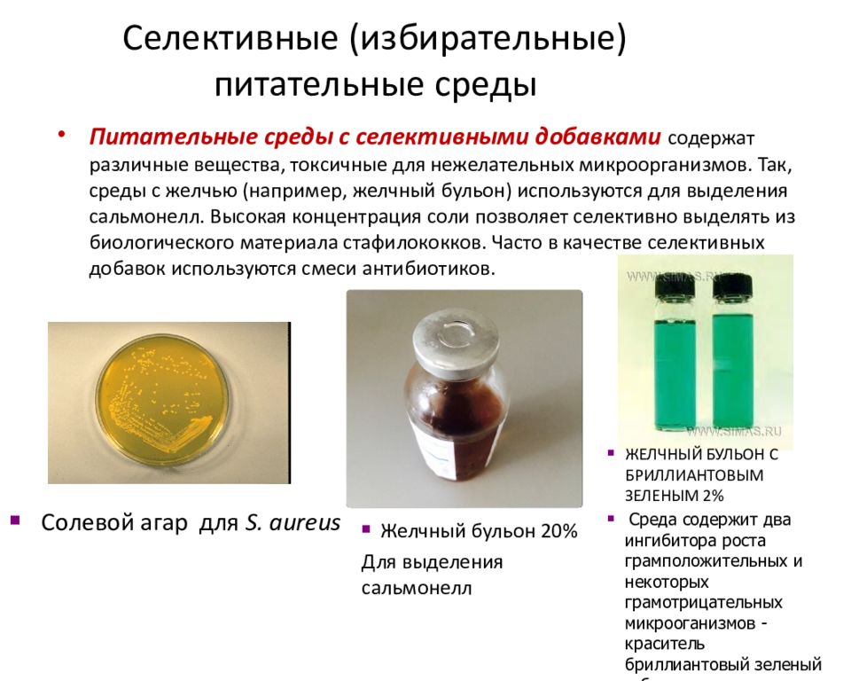 Питательные среды микробиология презентация