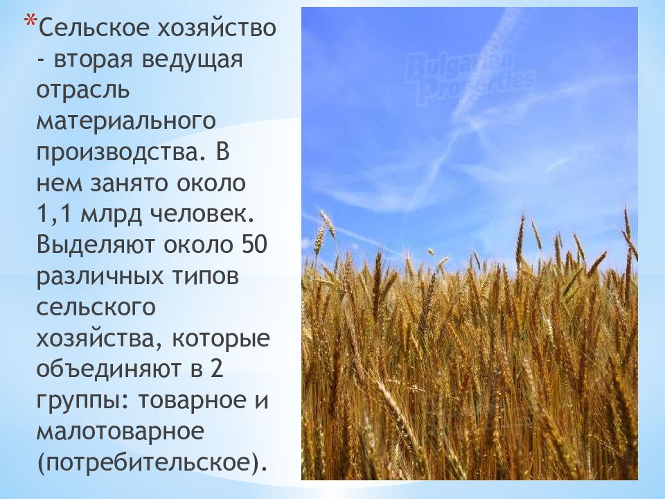 Презентация по географии сельское хозяйство. Ведущие отрасли сельского хозяйства России. Два типа сельского хозяйства. Сельское хозяйство отрасль материального производства. Ведущими отраслями сельского хозяйства России являются.